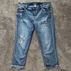 Maurice’s Jean Capris Size 18 Distressed Plus Size